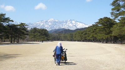 nikko-1.jpg