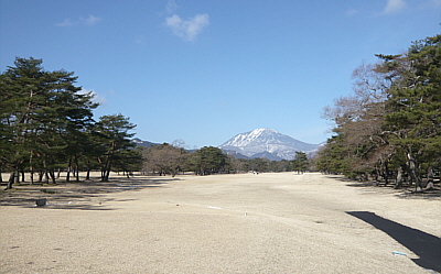 nikko-2.jpg