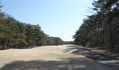 nikko-3.jpg