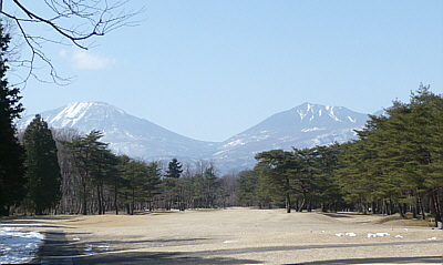 nikko-4.jpg