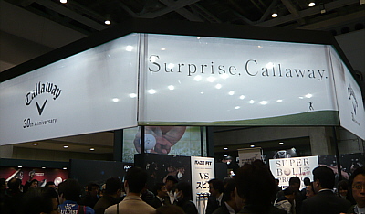 calla-1.jpg