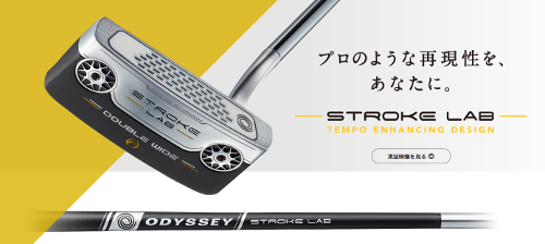 Odyssey 19 Stroke Lab Series Anserfreak