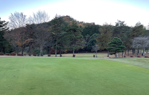 koyo-3.jpg