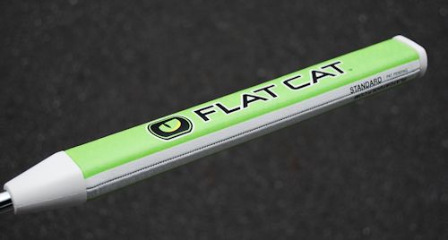 flatcat-2.jpg