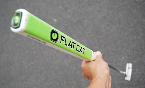 flatcat-3.jpg